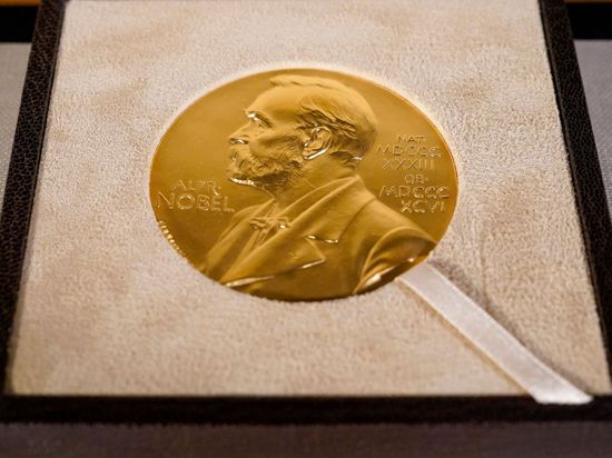 Der Deutsche Klaus Hasselmann erhält zusammen mit zwei weiteren Wissenschaftlern den diesjährigen Physik-Nobelpreis.