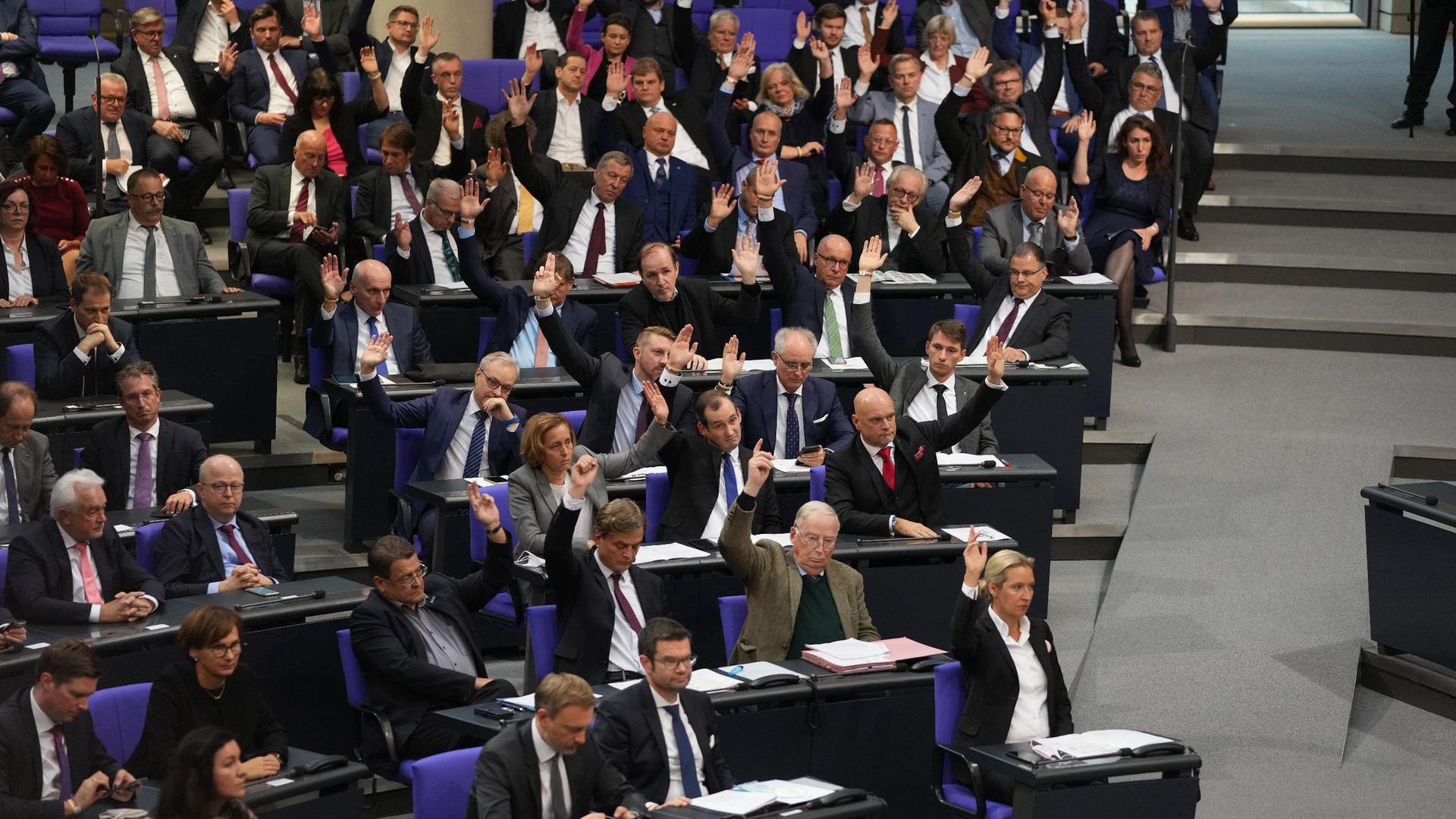 AfD-Abgeordnete im Bundestag. Die Partei soll künftig den Innenausschuss leiten – das stößt auf Kritik in der Opposition.