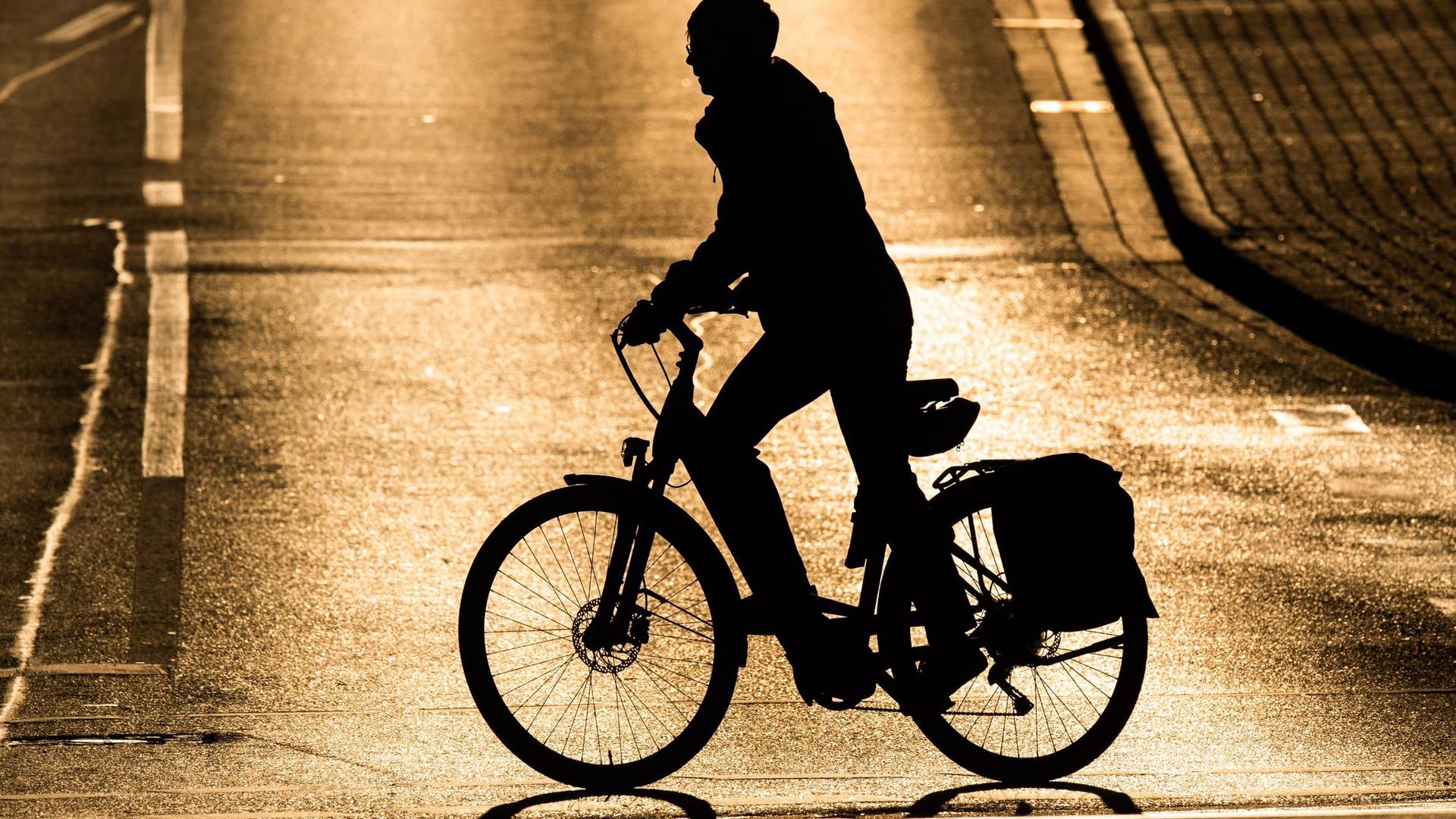 Auswertung der Allianz: „In der EU gibt es insgesamt 6000 getötete Zweiradfahrer, in Deutschland waren es im vergangenen Jahr fast tausend.“