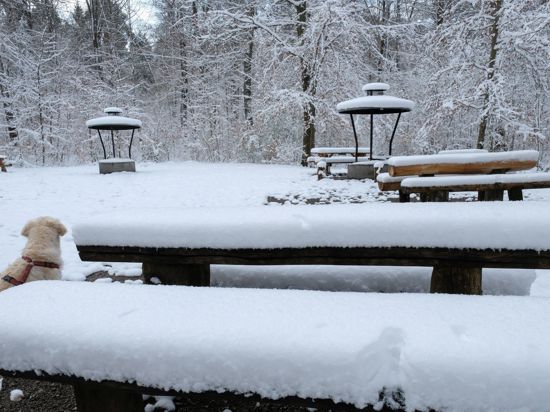 In Baden-Württemberg – wie hier in Stuttgart – fiel am meisten Schnee.