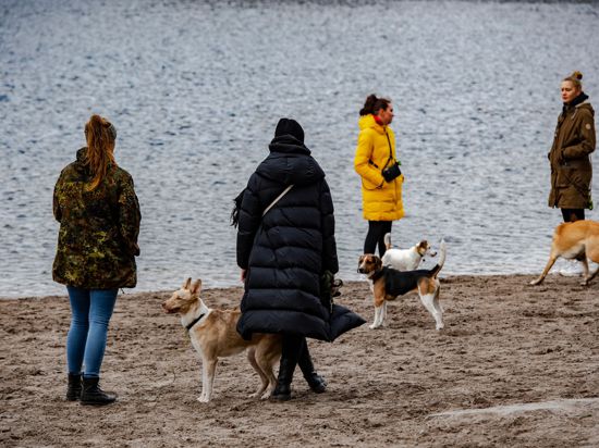 Spaziergänger mit ihren Hunden am Berliner Grunewaldsee.