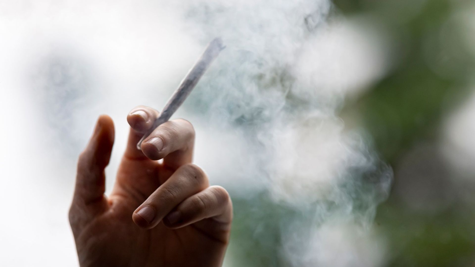 Im Koalitionsvertrag von SPD, Grünen und FDP heißt es: „Wir führen die kontrollierte Abgabe von Cannabis an Erwachsene zu Genusszwecken in lizenzierten Geschäften ein.“