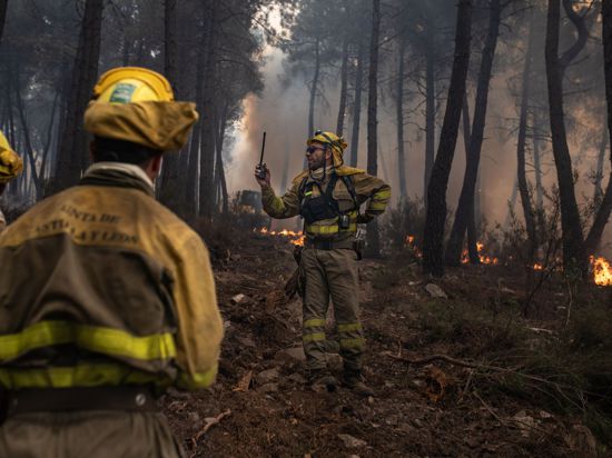 Feuerwehrleute sind während eines Brandes in der Sierra Culebra in der Provinz Zamora im Einsatz.