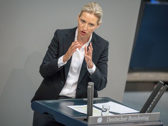 AfD-Fraktionsvorsitzende Alice Weidel bei einer Rede im Bundestag.