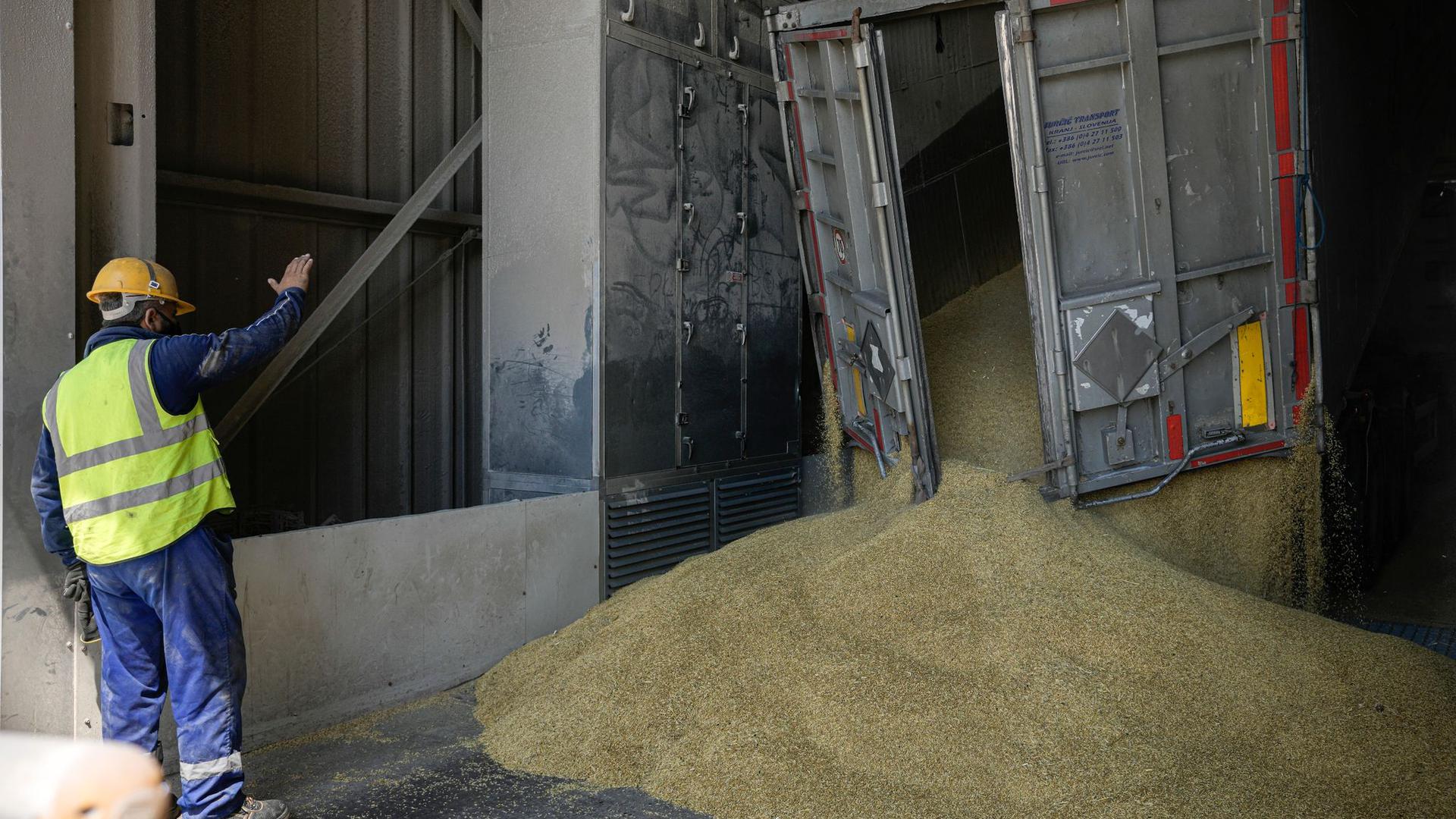 Der Ukraine-Krieg hat die Weltmarktpreise für Weizen in die Höhe schnellen lassen.