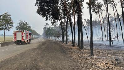Ein Feuerwehrwagen fährt zwischen Kosilenzien und Nieska im Landkreis Elbe-Elster an einem abgebrannten Wald vorbei.