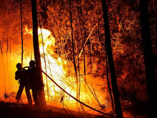 Feuerwehrleute versuchen, einen Waldbrand in der Nähe von Besseges in Südfrankreich zu löschen.