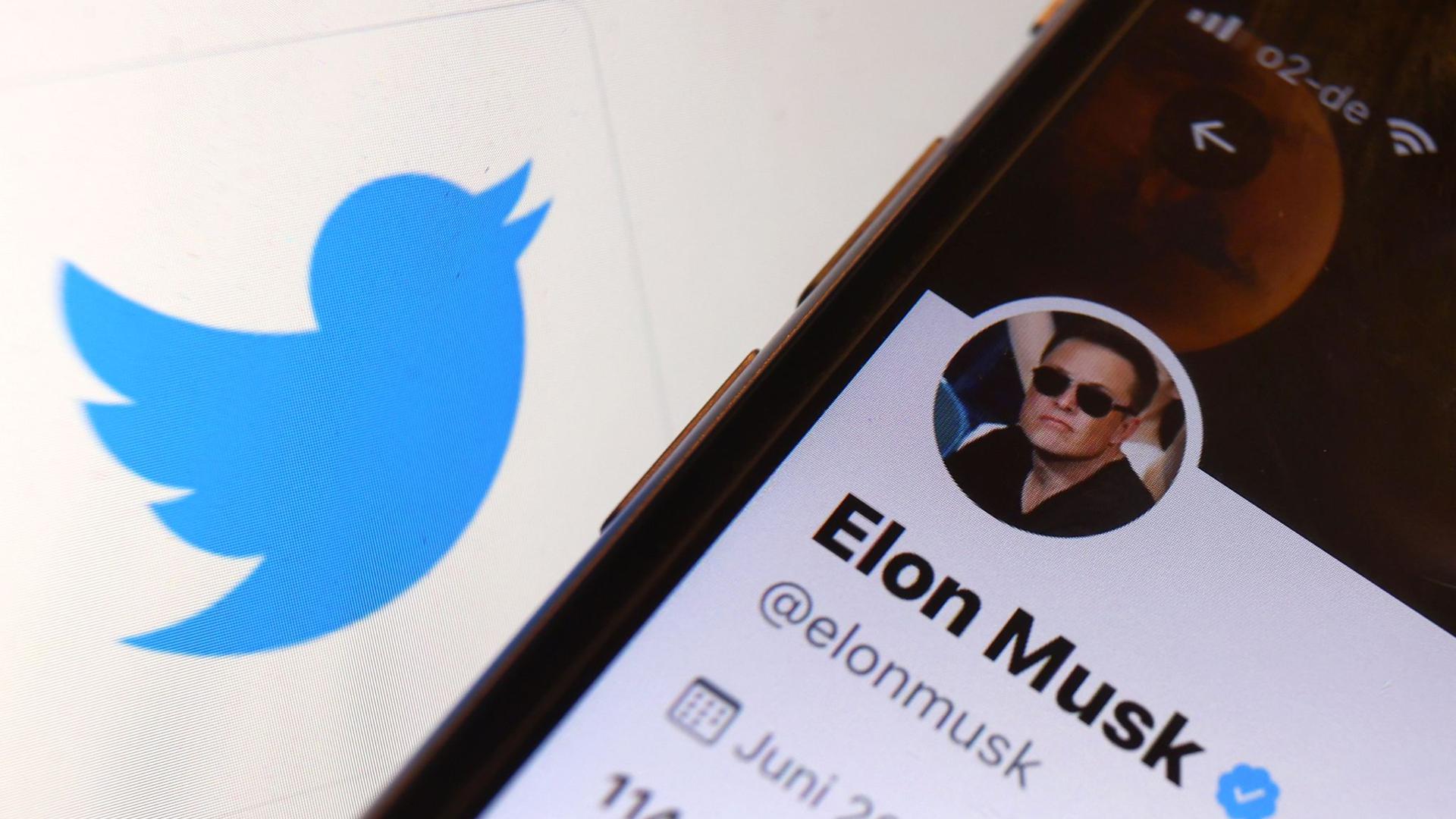 Elon Musk wollte die Nachrichten-Plattform Twitter eigentlich kaufen.