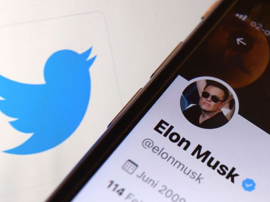 Elon Musk wollte die Nachrichten-Plattform Twitter eigentlich kaufen.