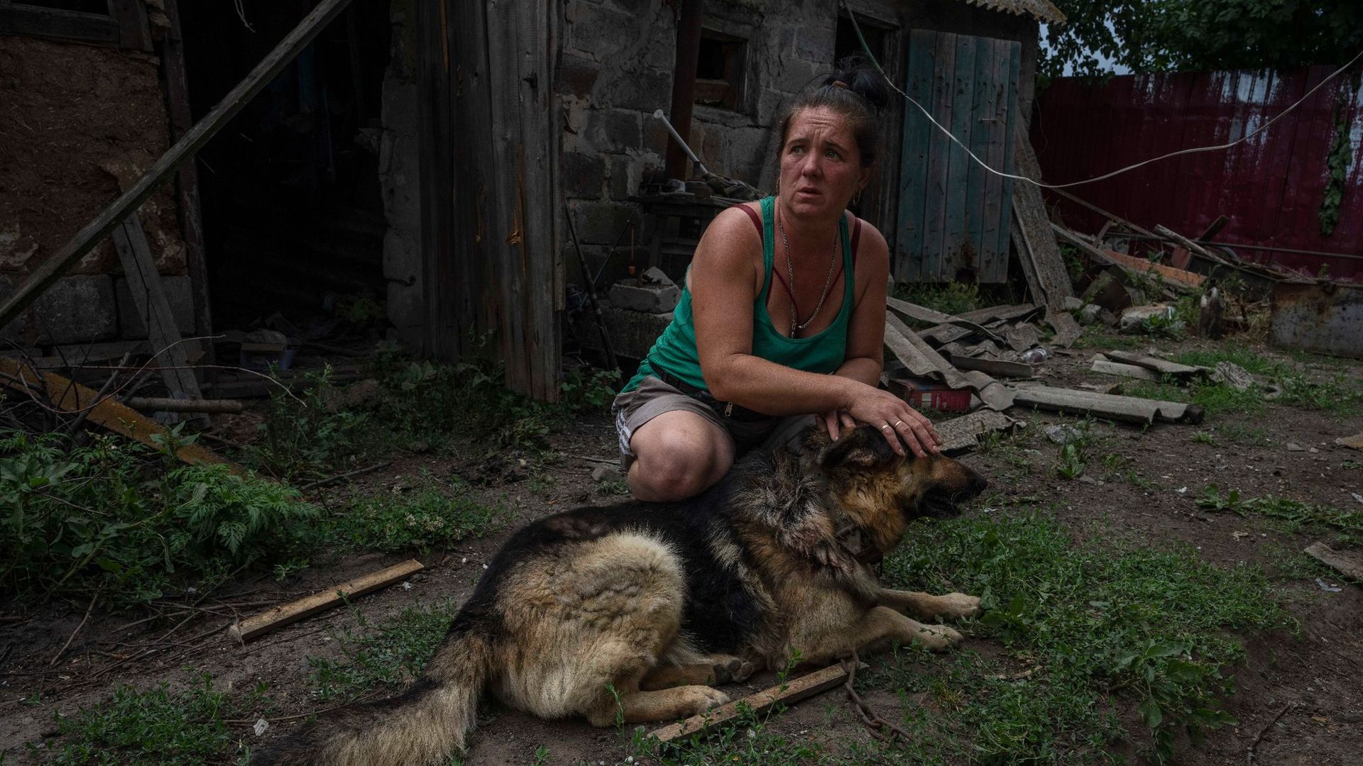 Nch einem Raketenangriff am Stadtrand von Pokrowsk bedeckt die 43-jährige Tetiana Pashko die Augen ihres verletzten Hundes, als sie laute Geräusche hört.