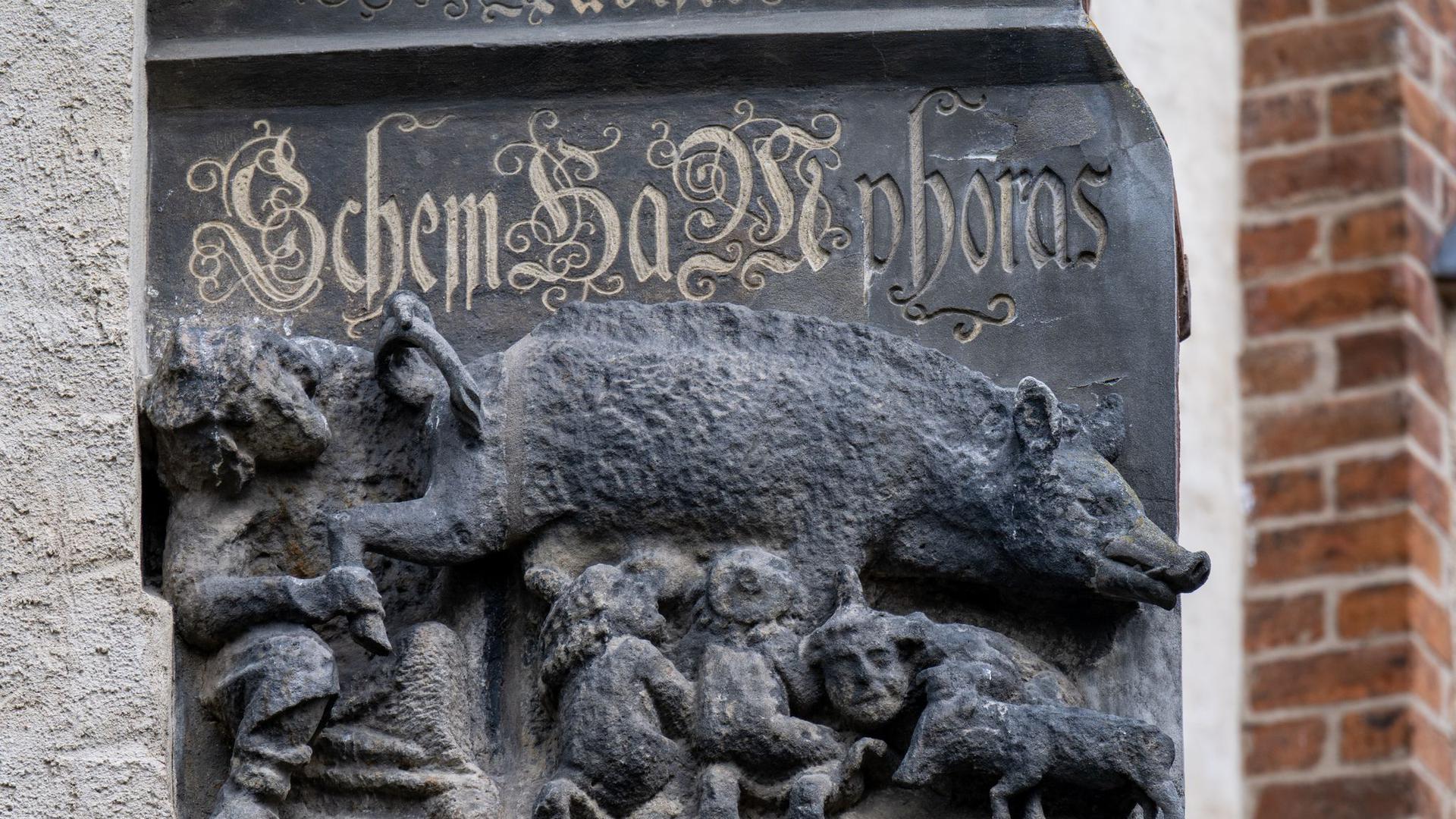 Eine als „Judensau“ bezeichnete Schmähplastik ist an der Stadtkirche Wittenberg zu sehen.