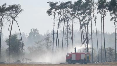 Die Feuerwehr löscht einen Waldbrand im Landkreis Elbe-Elster.