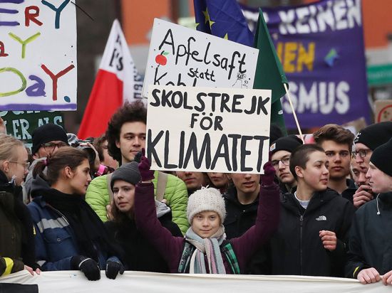 Die Klimaaktivistin Greta Thunberg (M) aus Schweden nimmt an einer „Fridays for Future“-Demonstration in Hamburg teil.
