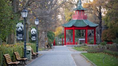 Der Berliner Zoo ohne Besucher: Der Zoo ist nach einem Fall von Vogelgrippe weiterhin geschlossen.