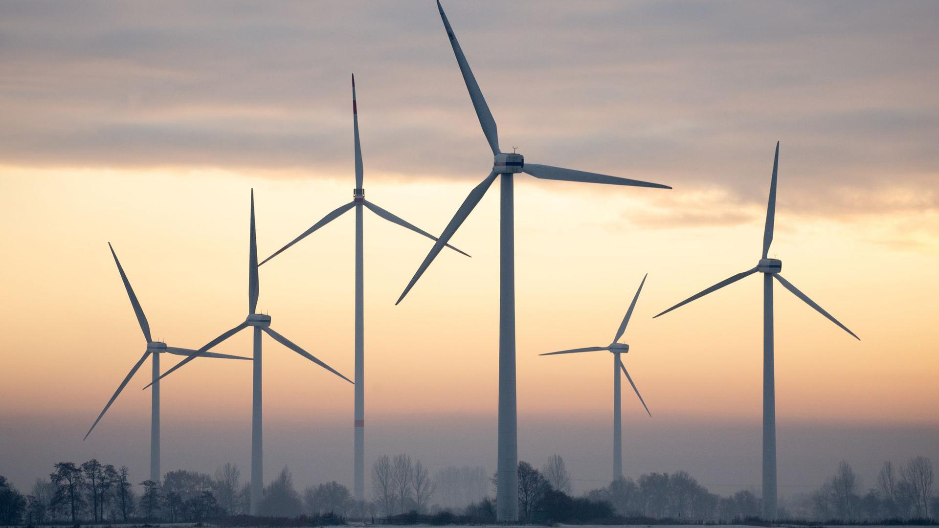 Nach Angaben des Fraunhofer-Instituts für Solare Energiesysteme liegt der Windkraft-Anteil an der Stromerzeugung im laufenden Jahr bei 24,3 Prozent.