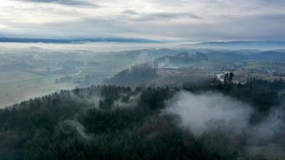 Nebel liegt über dem Wald bei Obereisenbach im Allgäu. Böden und Pflanzen speichern CO2 – es ist natürlicher Klimaschutz.