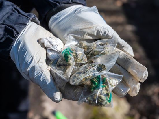 Eine Polizistin hält kleine Tütchen mit Marihuana in den Händen.