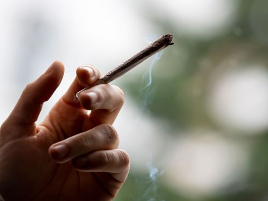 SPD, Grüne und FDP wollen eine kontrollierte Abgabe von Cannabis an Erwachsene zu Genusszwecken in lizenzierten Geschäften einführen.