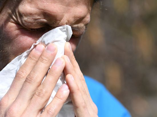 Besonders Erwachsene mittleren Alters sind betroffen: Immer mehr Menschen leiden unter Pollenallergien.
