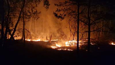 Bei dem seit Tagen lodernden Waldbrand hat sich die Lage verschärft.