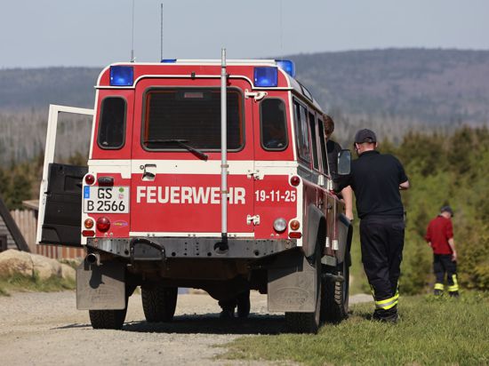 Einsatzkräfte der Feuerwehr beobachten vom niedersächsischen Wurmberg aus das Waldbrandgebiet am Brocken.
