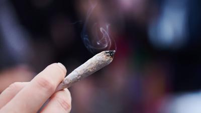 Ein vom Bundeskabinett auf den Weg gebrachter Gesetzentwurf sieht vor, Cannabis im Betäubungsmittelgesetz von der Liste der verbotenen Substanzen zu streichen.