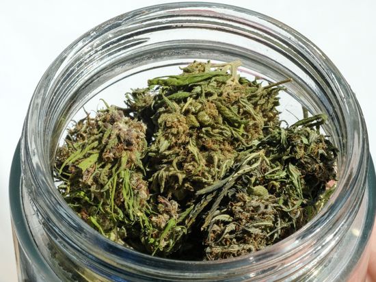 Im Eigenanbau soll die erlaubte Menge von 25 auf 50 Gramm getrocknetes Cannabis verdoppelt werden.
