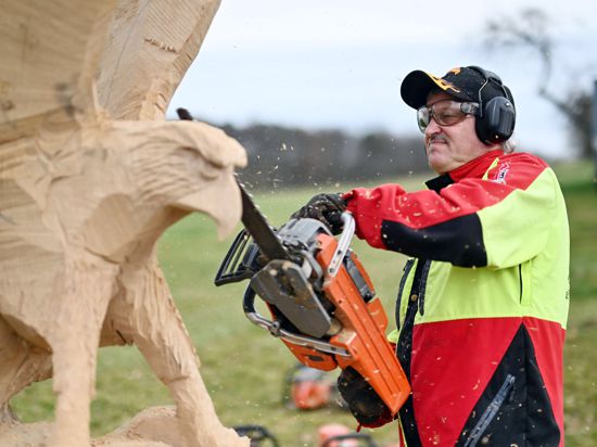 Der Kettensägen-Holzschnittkünstler Dieter Binder arbeitet an einer Skulptur in Form eines Adlers.