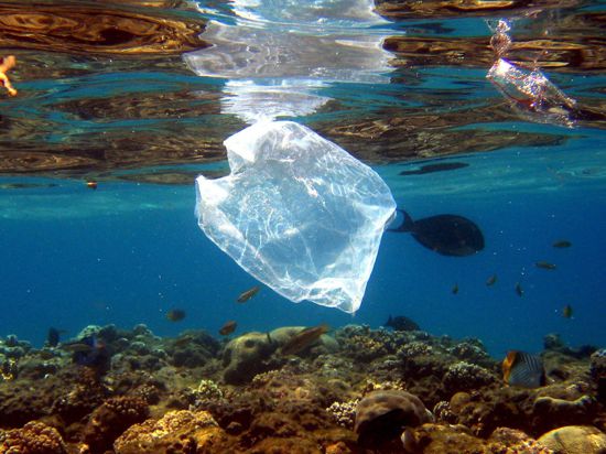 Plastikmüll ist ein großes Problem in den Meeren.