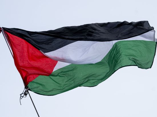 Die Flagge von Palästina wird bei einer propalästinensischen Kundgebung geschwenkt. 
Bei derartigen Kundgebungen kam es vor allem in den ersten Wochen nach dem Massaker immer wieder zu Zusammenstößen mit der Polizei.