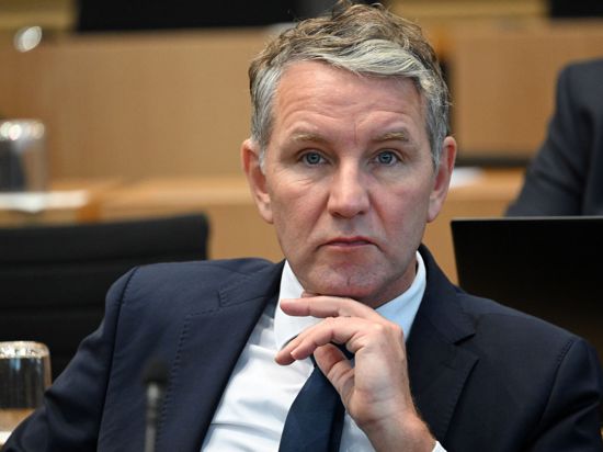 AfD-Fraktions- und Landeschef Björn Höcke.