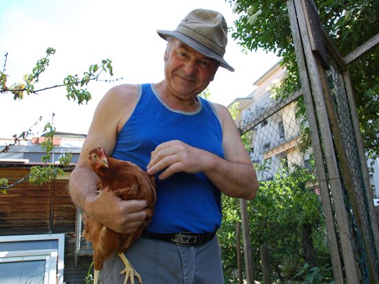 Mann mit Huhn