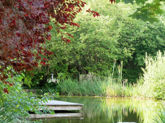 Das Würth-Museum in der elsässischen Gemeinde Erstein hat einen Park mit Teich.