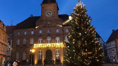 Vor dem Rathaus von Weißenburg steht in der Adventszeit ein Weihnachtsbaum.