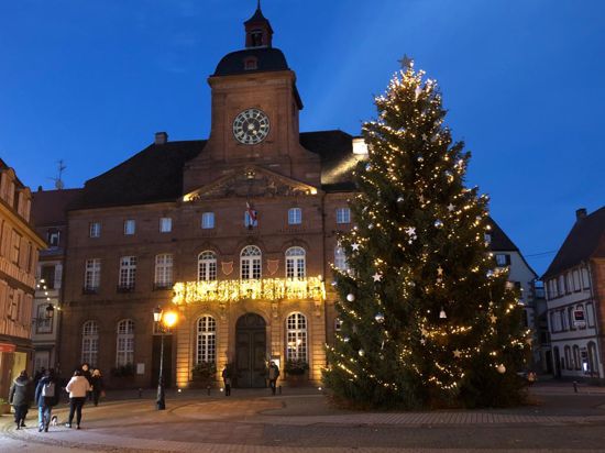 Vor dem Rathaus von Weißenburg steht in der Adventszeit ein Weihnachtsbaum.