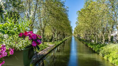 Solche Blumenkästen sind in Straßburg inzwischen verschwunden