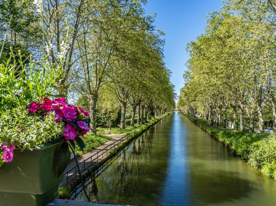 Solche Blumenkästen sind in Straßburg inzwischen verschwunden