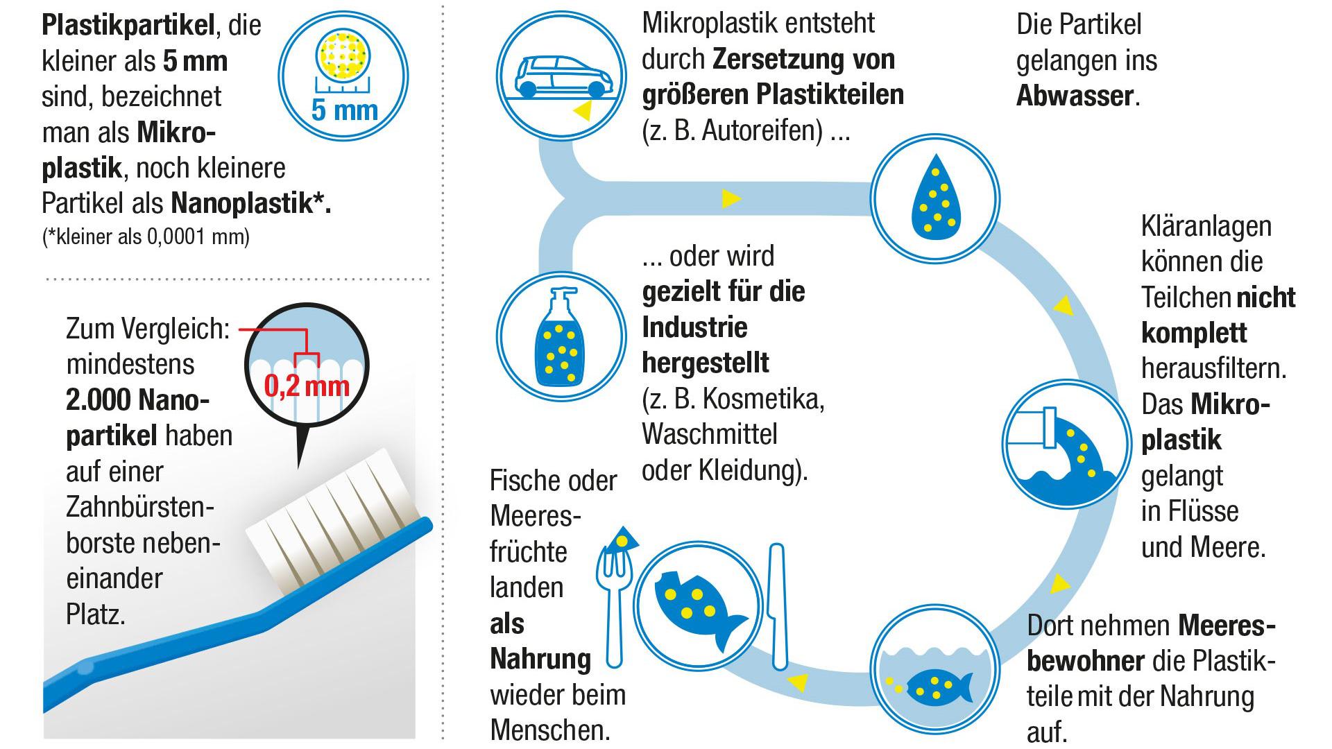 Infografik zum Mikroplastik-Kreislauf