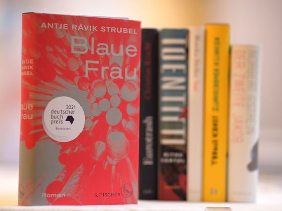 Das Buch „Blaue Frau“ von Antje Ravik Strubel.