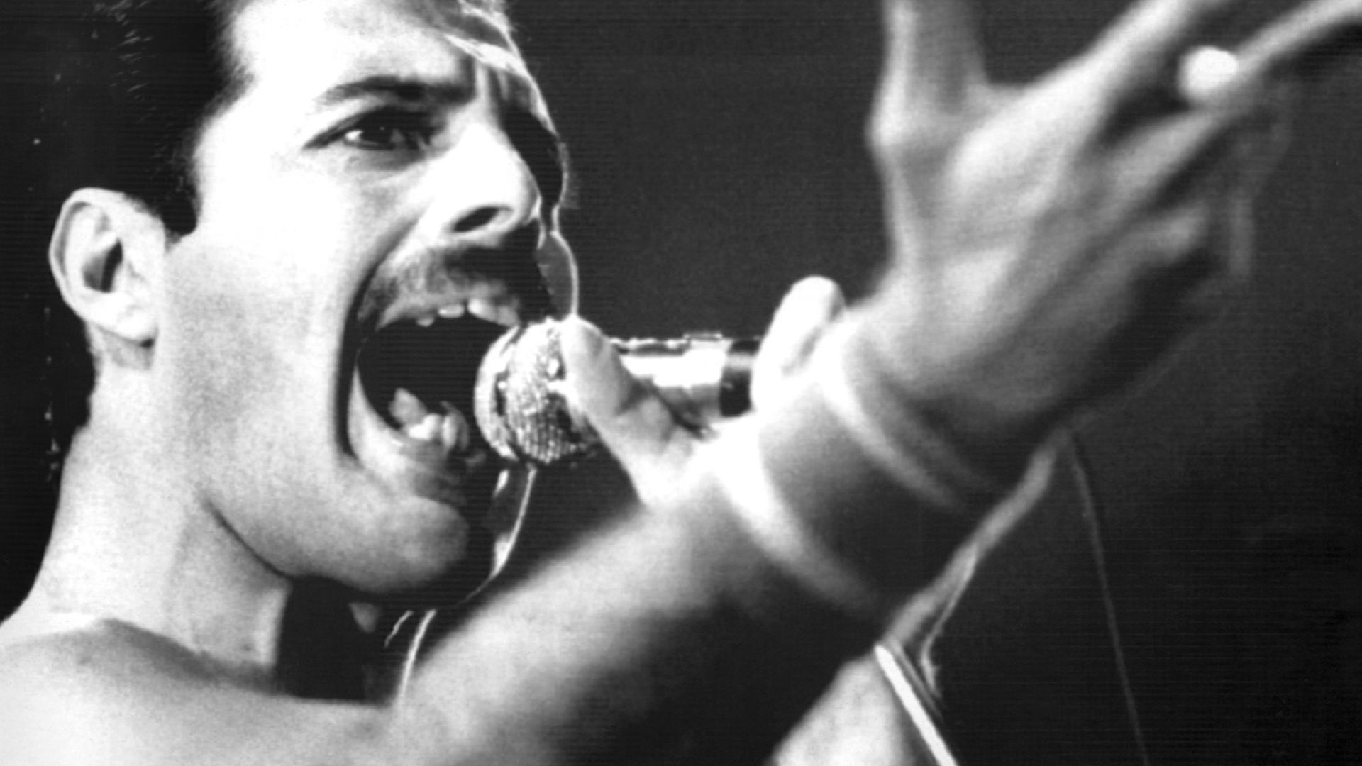 Freddie Mercury bei einem Auftritt im September 1984. Am 24.11. jährt sich der 30. Todestag des Sängers.