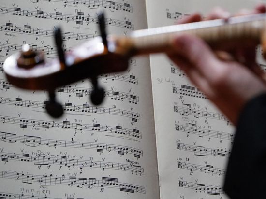 Ein Orchester-Musiker spielt und blickt auf seine Noten.