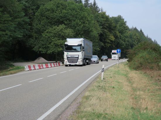 Tausende Laster fahren täglich über die B9 zwischen Kandel und Frankreich.