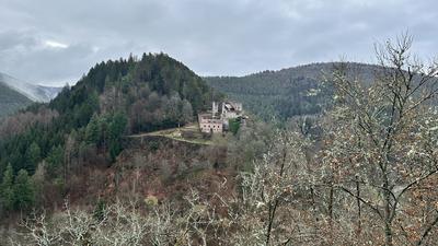 Burg Spangenberg im Pfälzerwald