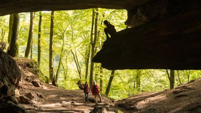 Die Bärenhöhle ist die größte natürliche Felsenhöhle der Pfalz und beherbergt eine Quelle mit Wasserfall. In dem einzigartigen Naturdenkmal am Rodalber Felsenwanderweg entspringt ein kleiner Bach, der als Wasserfall zur unteren Bärenhöhle herabfällt. Wo der Name seinen tatsächlichen Ursprung hat, ob Sie nun einst von einem Bären bewohnt wurde oder als Grenzstein einer Familie namens Bärmann galt, bleibt ungeklärt.