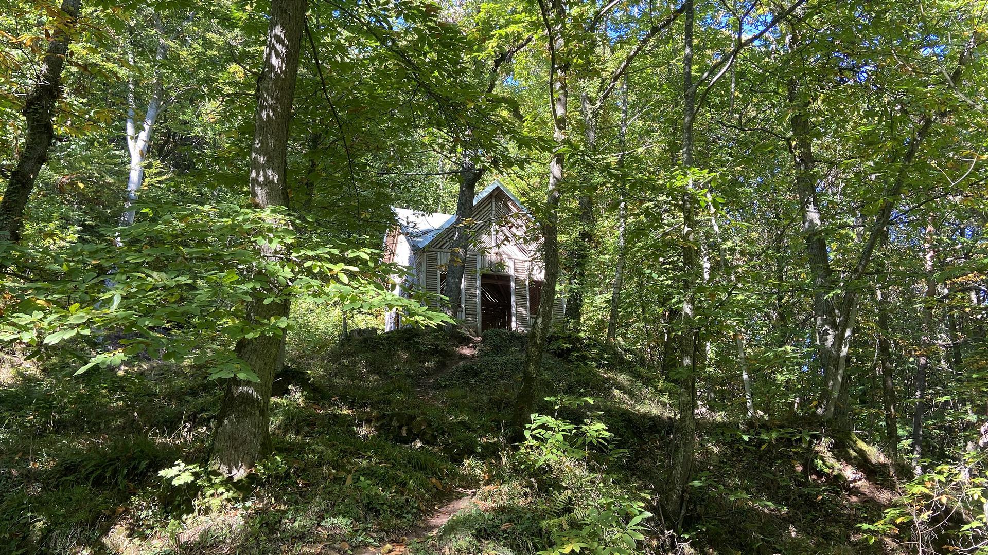 Tina-Will-Blick-Hütte im Pfälzerwald