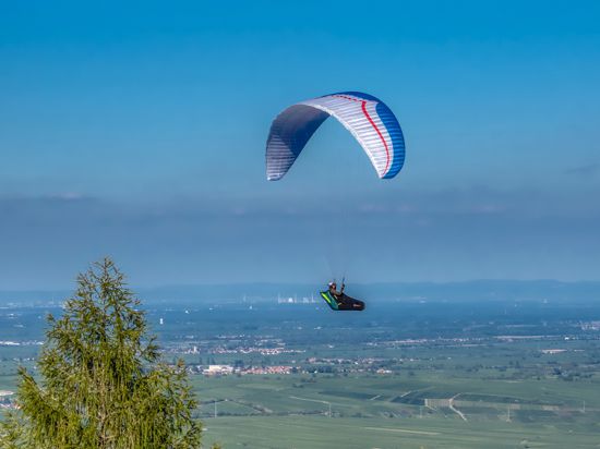 Ein „Pälzer Duddefliecher“, wie Gleitschirmflieger in der Pfalz genannt werden, schwebt hoch über dem Queichtal.