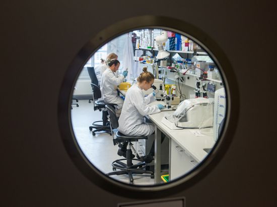 Forscher arbeiten im Universitätsklinikum Hamburg Eppendorf (UKE) in einem molekularbiologischen Forschungslabor. Wissenschaftler am UKE wollen über eine detaillierte Analyse des Erbguts mehr über die Ursachen von Herz-Kreislauf-Erkrankungen erfahren. +++ dpa-Bildfunk +++