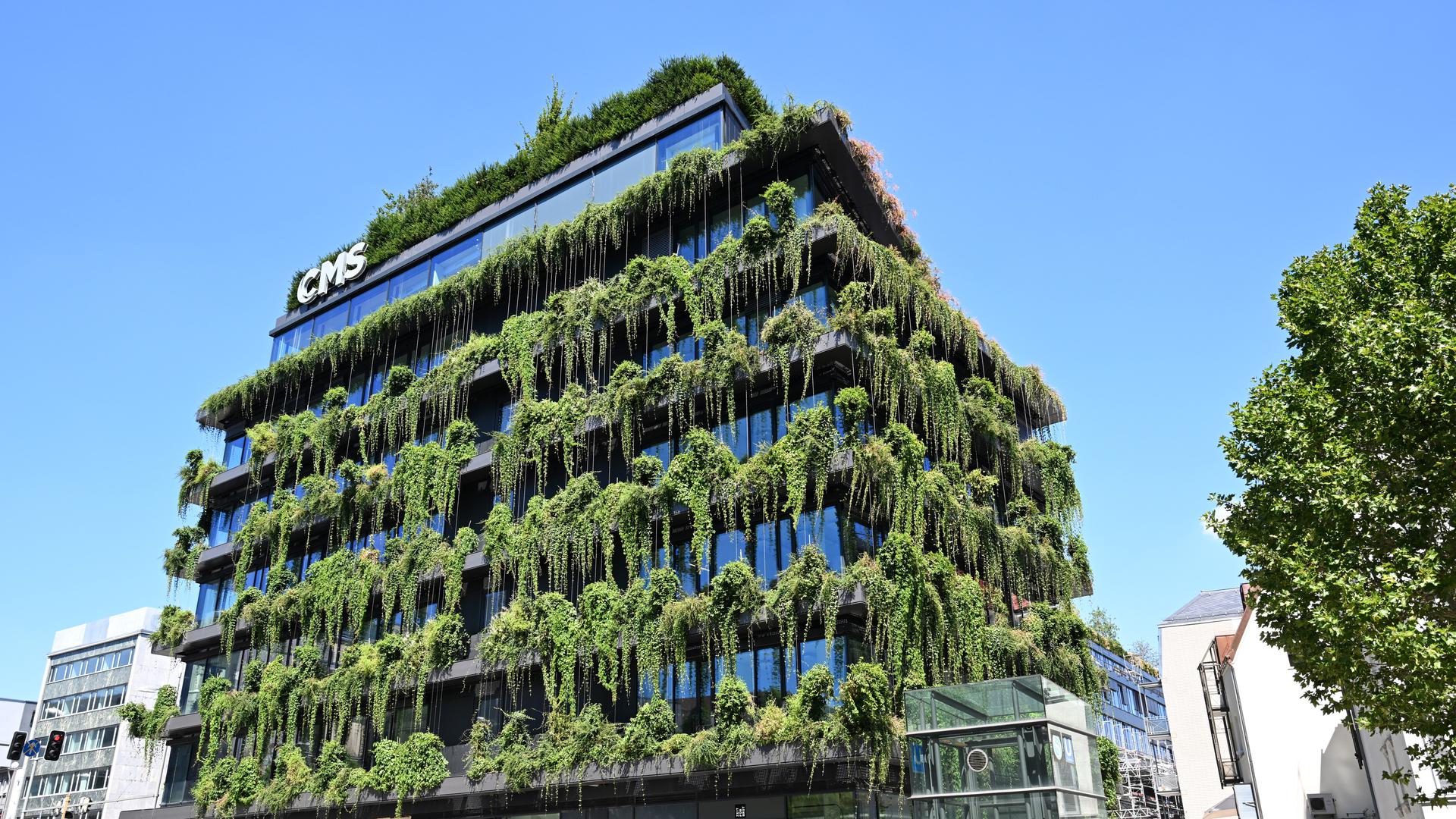 Architektur neu gedacht: Häuser mit komplett begrünten Fassaden, wie hier in der Innenstadt von Stuttgart, sind eine Option, um dem Klimawandel zu begegnen.