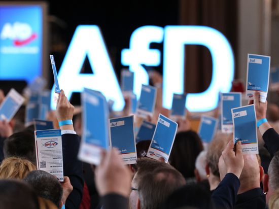 Delegierte stimmen auf dem Landesparteitag der AfD Sachsen-Anhalt in Magdeburg ab. 