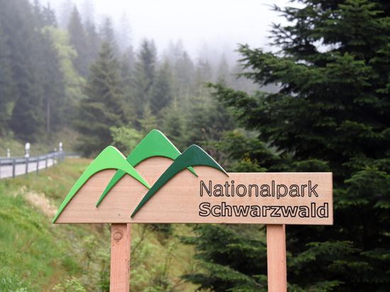 Das Land schenkt sich ein Publikumsmagnet: Im Mai 2014 wird der Nationalpark Schwarzwald offiziell eröffnet, der viele Menschen in die Natur lockt und eine wichtige Rolle beim Umweltschutz im Südwesten spielt.